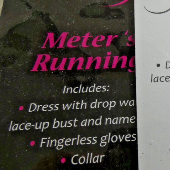 Fun World Meters Running Costume Size Adult S/M Taxi Masquerade Party Halloween - Picture 8 of 8